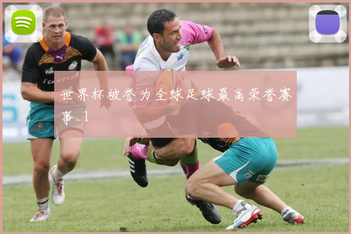 世界杯被誉为全球足球最高荣誉赛事_1