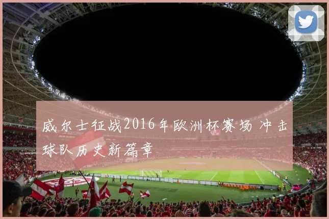 威尔士征战2016年欧洲杯赛场 冲击球队历史新篇章