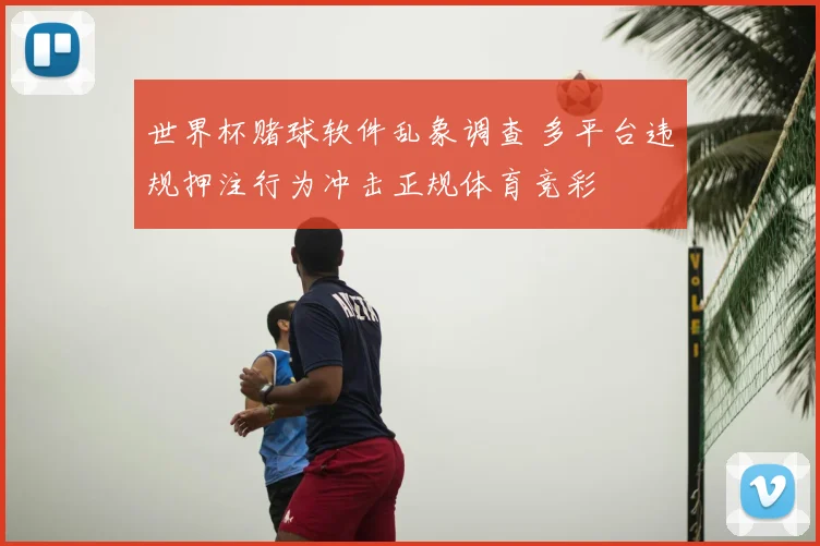 世界杯赌球软件乱象调查 多平台违规押注行为冲击正规体育竞彩