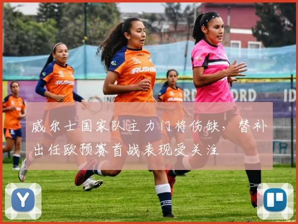 威尔士国家队主力门将伤缺,替补出任欧预赛首战表现受关注