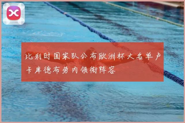 比利时国家队公布欧洲杯大名单卢卡库德布劳内领衔阵容